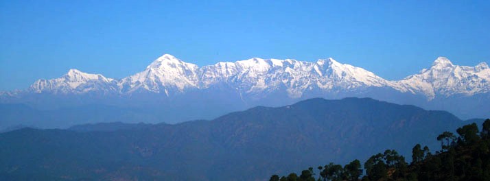 1724/Elphinstone Himalaya Resort - Almora 09.jpg